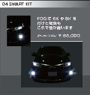 SMART HID D4 KIT
